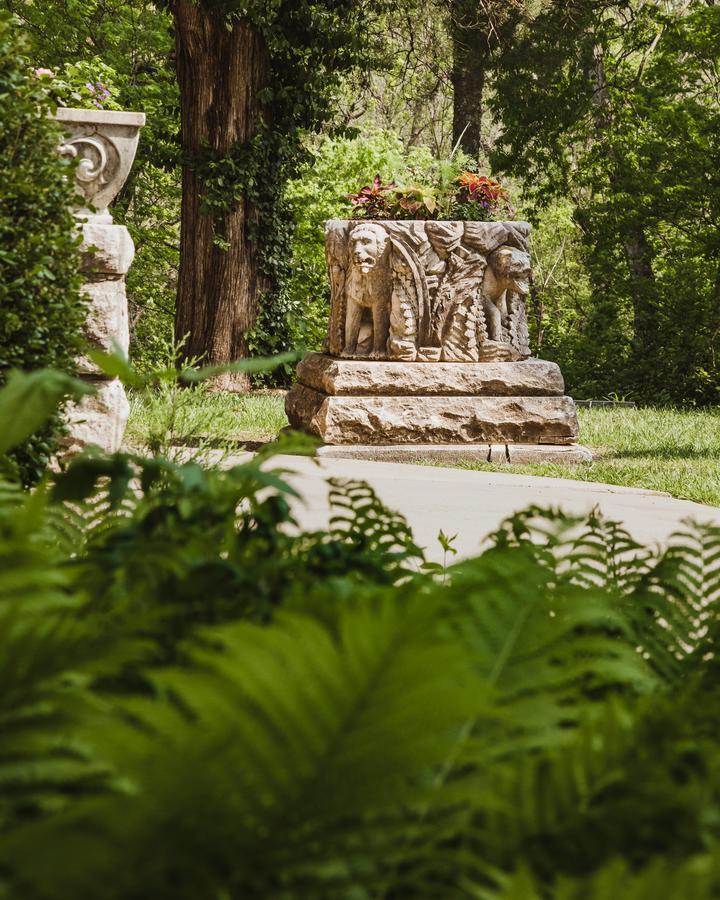 The Mansion At Elfindale Bed and Breakfast Σπρίνγκφιλντ Εξωτερικό φωτογραφία